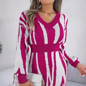 Animal Print V-Neck Long Sleeve Sweater Dress